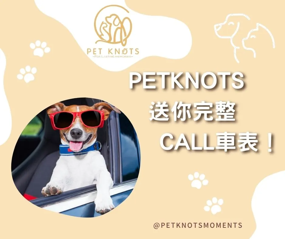 PetKnots_CarServiceInfo