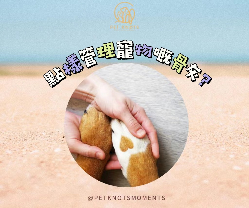 Pet-Knots-NGO-Moments_寵諾時刻_寵物骨灰管理_01